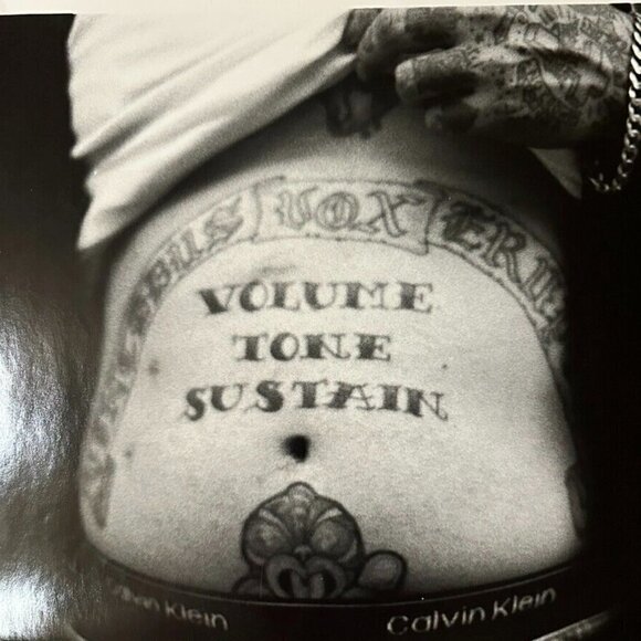 Photograph Print Janine Gordon Signed 20x24" B/W Torso Man Men Tattoo Biohazzard - Picture 4 of 4